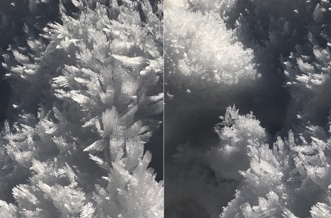 Gene Marshall snow crystals.jpg