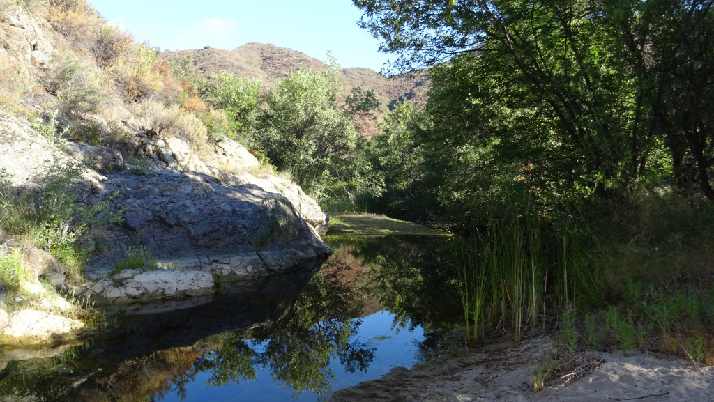 Small pond, San Mateo Canyon