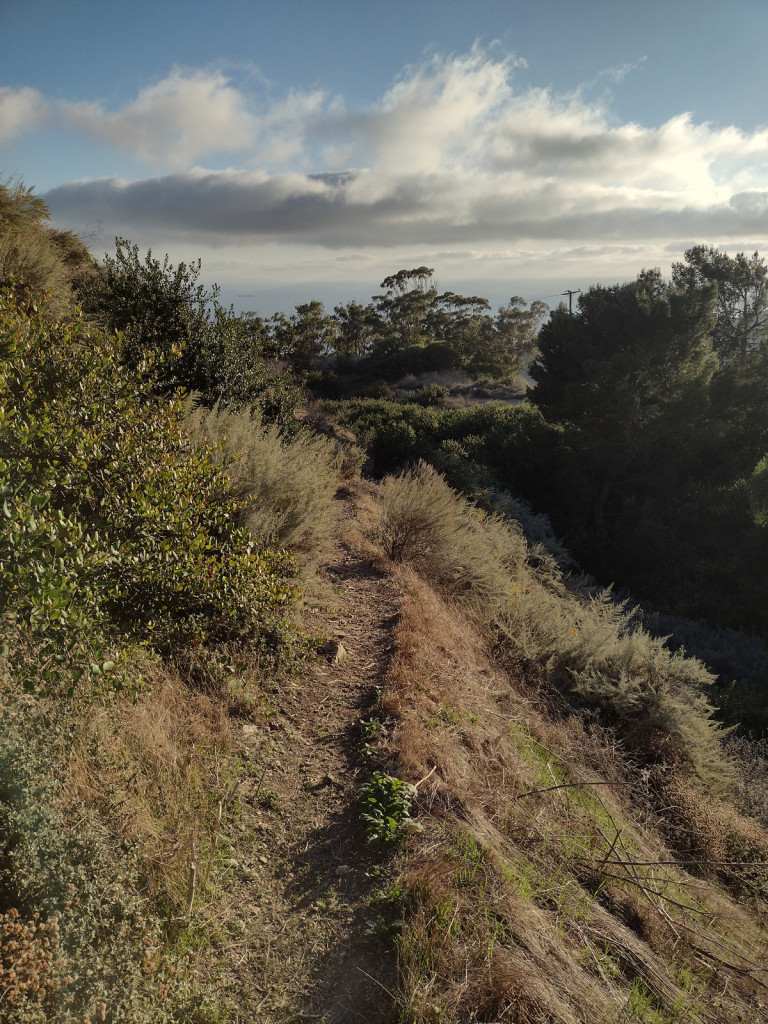 Trail in Portuguese Bend Reserve.