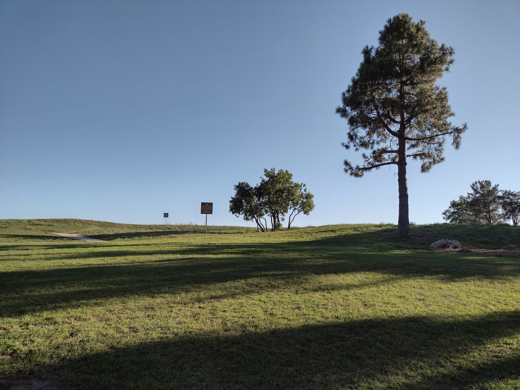 Grass, trees and sky at Del Cerro Park.