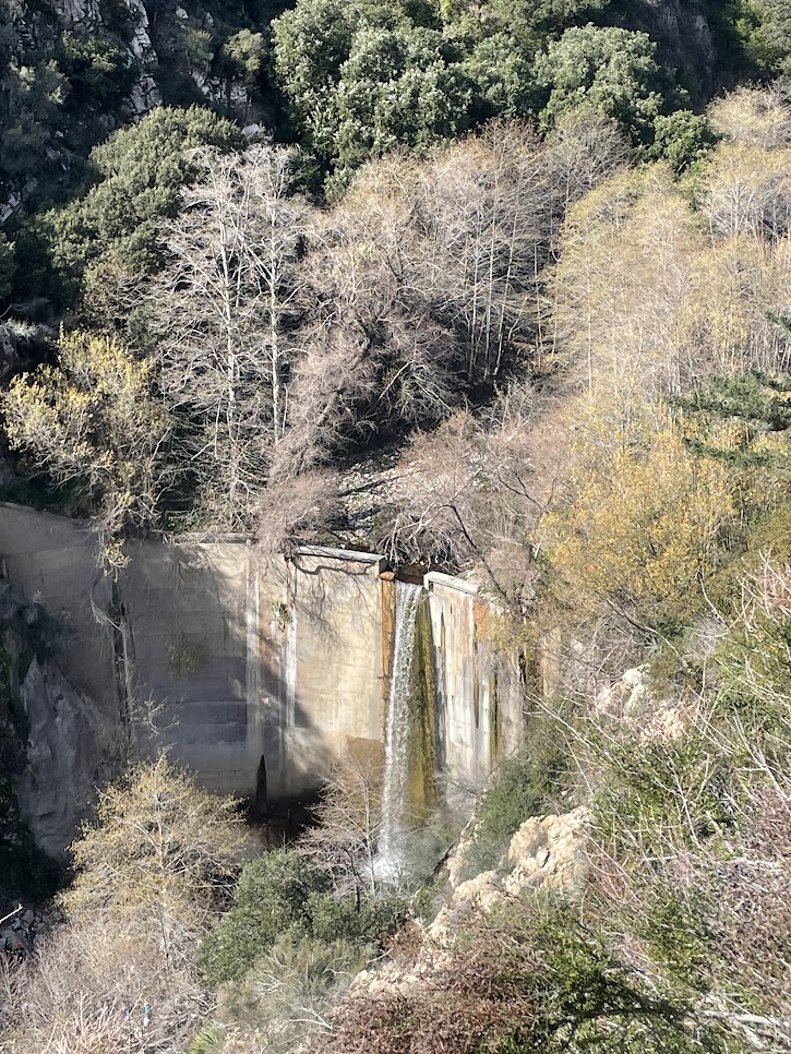 Brown Mt Dam