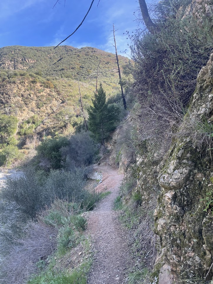Trail past Oakwilde