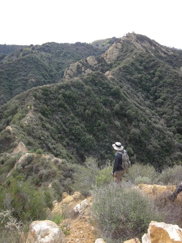 Nate surveys the cliff.