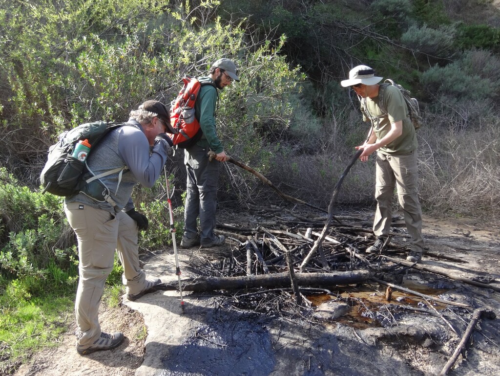 Poking an oil seep in Wiley Canyon.