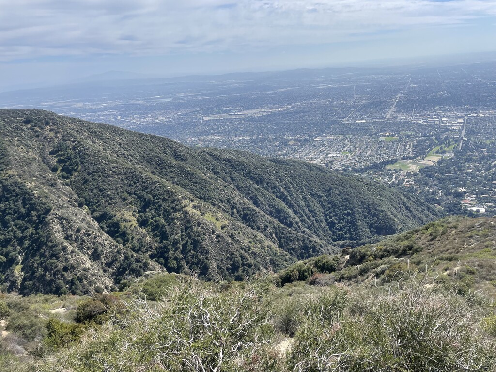 Ridge vibes - looking down into Pasadena Glen